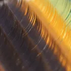 まつ毛エクステ講習